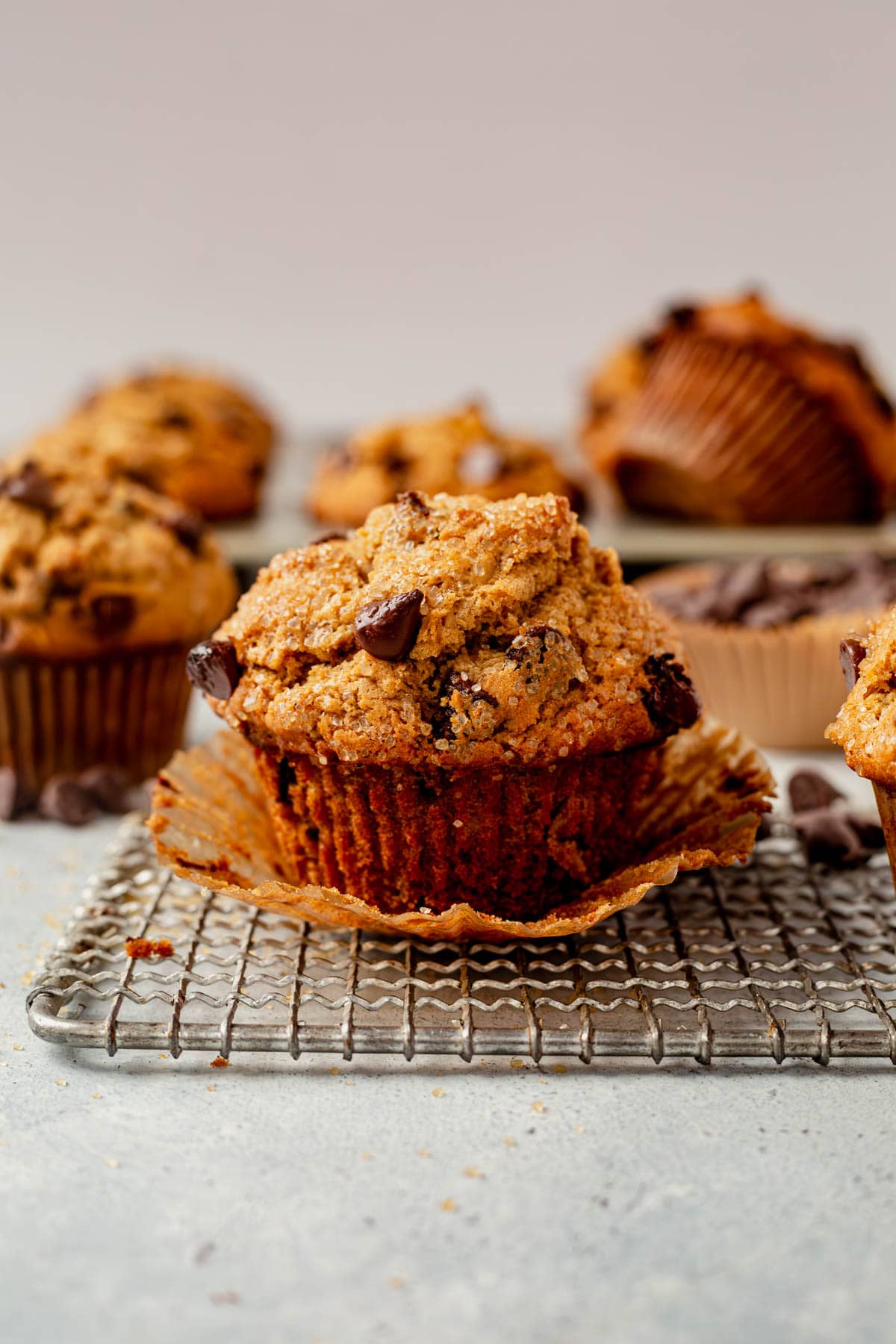 the paper liner taken off of an chocolate chip oatmeal muffin.